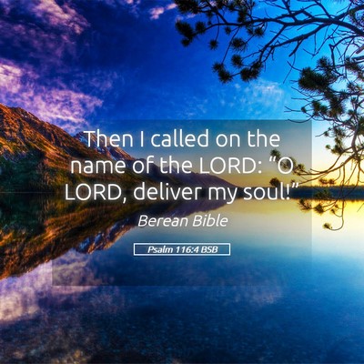 Picture 05 - Psalm 116:4 BSB - Then I called on the name of the LORD: “O LORD, - Bible Verse Picture