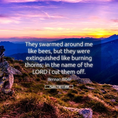 Picture 05 - Psalm 118:12 BSB - They swarmed around me like bees, but they were - Bible Verse Picture