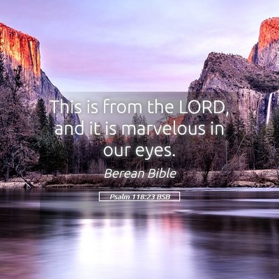 Picture 05 - Psalm 118:23 BSB - This is from the LORD, and it is marvelous in our - Bible Verse Picture