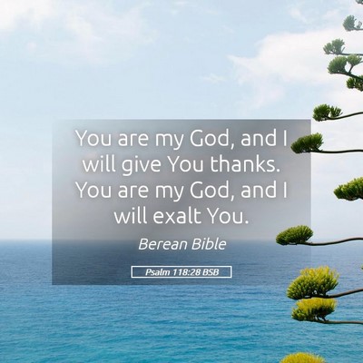 Picture 05 - Psalm 118:28 BSB - You are my God, and I will give You thanks. You - Bible Verse Picture