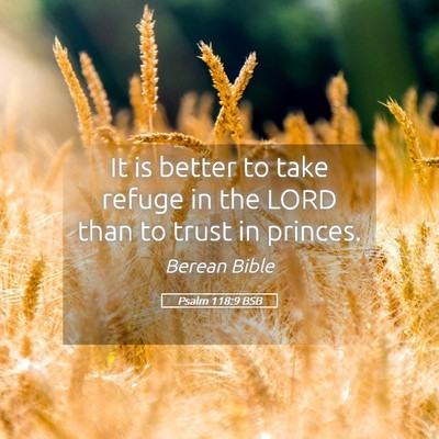 Picture 05 - Psalm 118:9 BSB - It is better to take refuge in the LORD than to - Bible Verse Picture