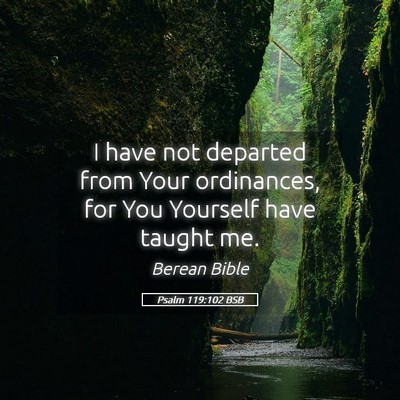 Picture 05 - Psalm 119:102 BSB - I have not departed from Your ordinances, for You - Bible Verse Picture