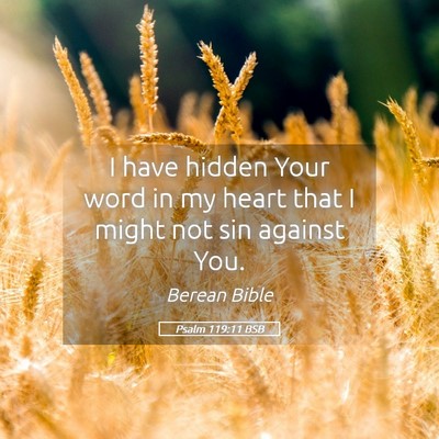 Picture 05 - Psalm 119:11 BSB - I have hidden Your word in my heart that I might - Bible Verse Picture