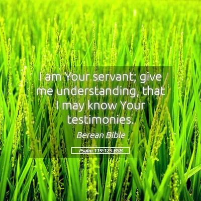 Picture 05 - Psalm 119:125 BSB - I am Your servant; give me understanding, that I - Bible Verse Picture