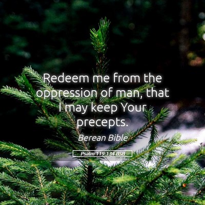 Picture 05 - Psalm 119:134 BSB - Redeem me from the oppression of man, that I may - Bible Verse Picture