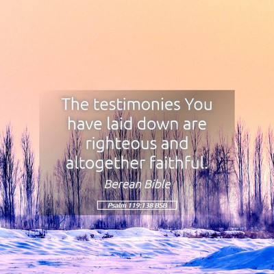 Picture 05 - Psalm 119:138 BSB - The testimonies You have laid down are righteous - Bible Verse Picture