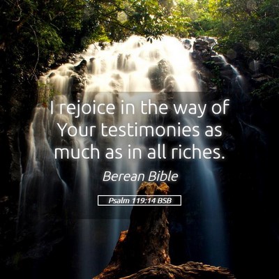 Picture 05 - Psalm 119:14 BSB - I rejoice in the way of Your testimonies as much - Bible Verse Picture