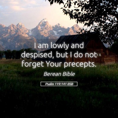 Picture 05 - Psalm 119:141 BSB - I am lowly and despised, but I do not forget Your - Bible Verse Picture