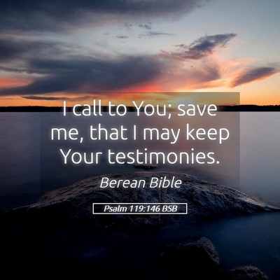 Picture 05 - Psalm 119:146 BSB - I call to You; save me, that I may keep Your - Bible Verse Picture