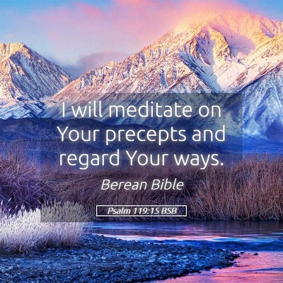 Picture 05 - Psalm 119:15 BSB - I will meditate on Your precepts and regard Your - Bible Verse Picture