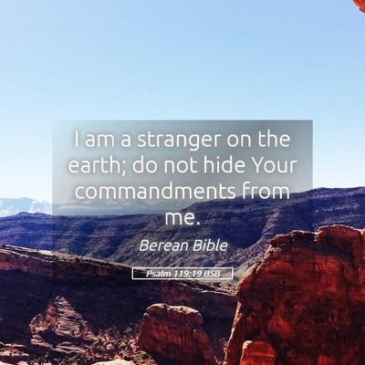 Picture 05 - Psalm 119:19 BSB - I am a stranger on the earth; do not hide Your - Bible Verse Picture