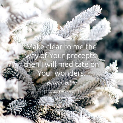 Picture 05 - Psalm 119:27 BSB - Make clear to me the way of Your precepts; then I - Bible Verse Picture