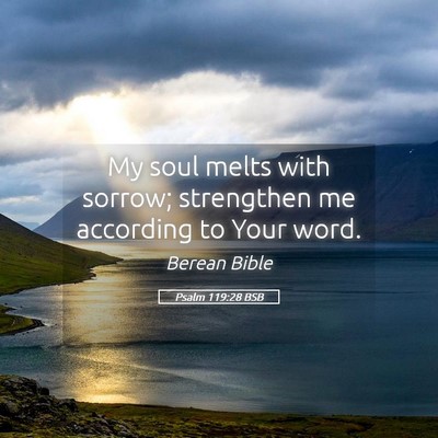 Picture 05 - Psalm 119:28 BSB - My soul melts with sorrow; strengthen me - Bible Verse Picture
