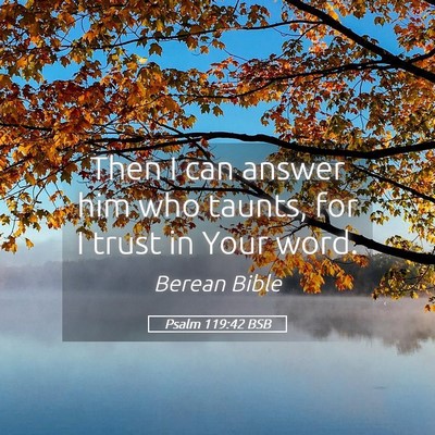 Picture 05 - Psalm 119:42 BSB - Then I can answer him who taunts, for I trust in - Bible Verse Picture
