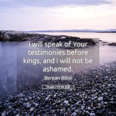 Picture 05 - Psalm 119:46 BSB - I will speak of Your testimonies before kings, - Bible Verse Picture