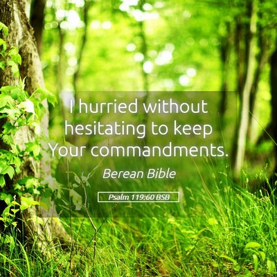 Picture 05 - Psalm 119:60 BSB - I hurried without hesitating to keep Your - Bible Verse Picture