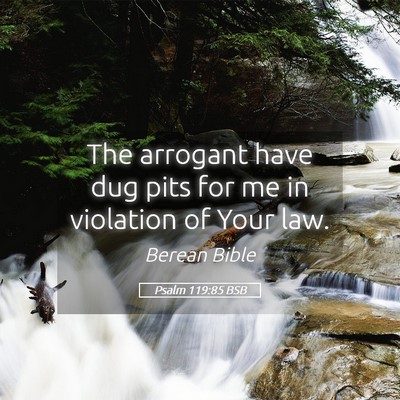 Picture 05 - Psalm 119:85 BSB - The arrogant have dug pits for me in violation of - Bible Verse Picture