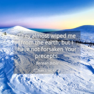 Picture 05 - Psalm 119:87 BSB - They almost wiped me from the earth, but I have - Bible Verse Picture