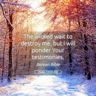 Picture 05 - Psalm 119:95 BSB - The wicked wait to destroy me, but I will ponder - Bible Verse Picture