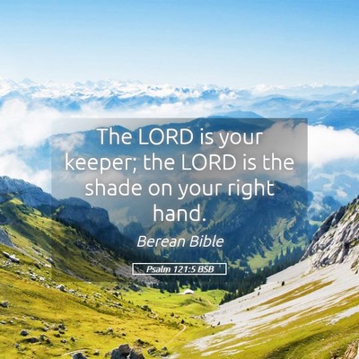 Picture 05 - Psalm 121:5 BSB - The LORD is your keeper; the LORD is the shade on - Bible Verse Picture