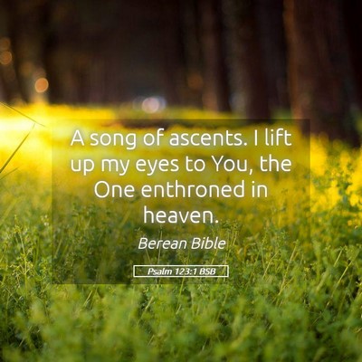 Picture 05 - Psalm 123:1 BSB - A song of ascents. I lift up my eyes to You, the - Bible Verse Picture