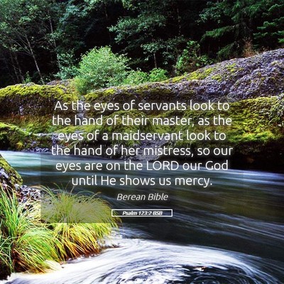 Picture 05 - Psalm 123:2 BSB - As the eyes of servants look to the hand of their - Bible Verse Picture
