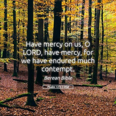 Picture 05 - Psalm 123:3 BSB - Have mercy on us, O LORD, have mercy, for we have - Bible Verse Picture