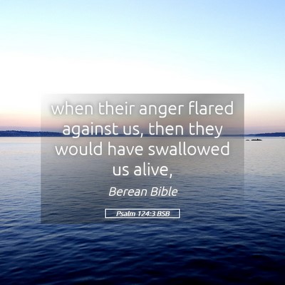 Picture 05 - Psalm 124:3 BSB - when their anger flared against us, then they - Bible Verse Picture
