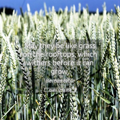 Picture 05 - Psalm 129:6 BSB - May they be like grass on the rooftops, which - Bible Verse Picture