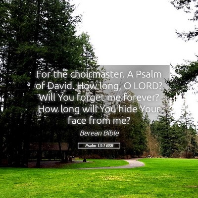 Picture 05 - Psalm 13:1 BSB - For the choirmaster. A Psalm of David. How long, - Bible Verse Picture