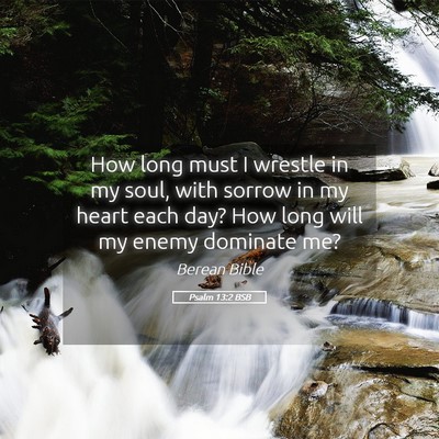 Picture 05 - Psalm 13:2 BSB - How long must I wrestle in my soul, with sorrow - Bible Verse Picture
