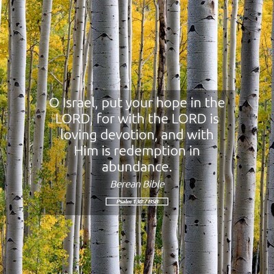 Picture 05 - Psalm 130:7 BSB - O Israel, put your hope in the LORD, for with the - Bible Verse Picture
