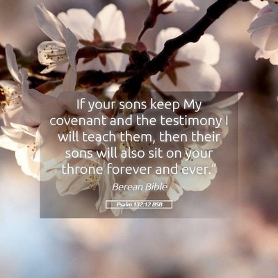 Picture 05 - Psalm 132:12 BSB - If your sons keep My covenant and the testimony I - Bible Verse Picture