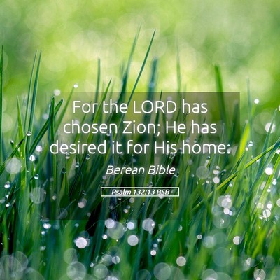 Picture 05 - Psalm 132:13 BSB - For the LORD has chosen Zion; He has desired it - Bible Verse Picture