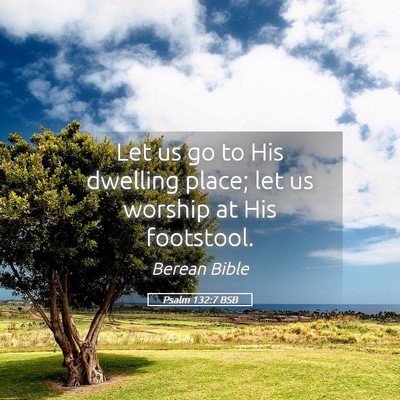 Picture 05 - Psalm 132:7 BSB - Let us go to His dwelling place; let us worship - Bible Verse Picture