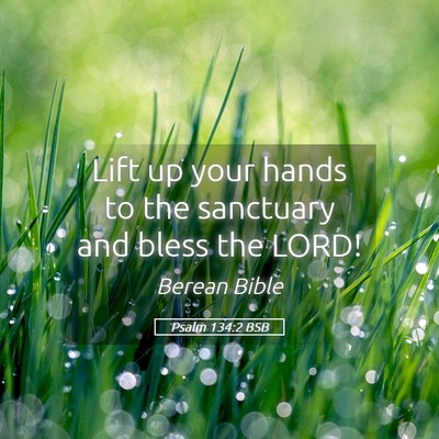Picture 05 - Psalm 134:2 BSB - Lift up your hands to the sanctuary and bless the - Bible Verse Picture