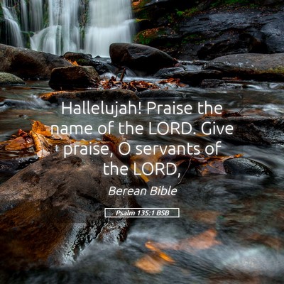 Picture 05 - Psalm 135:1 BSB - Hallelujah! Praise the name of the LORD. Give - Bible Verse Picture