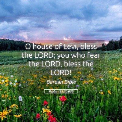 Picture 05 - Psalm 135:20 BSB - O house of Levi, bless the LORD; you who fear the - Bible Verse Picture