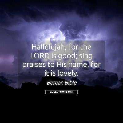 Picture 05 - Psalm 135:3 BSB - Hallelujah, for the LORD is good; sing praises to - Bible Verse Picture