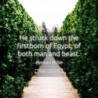 Picture 05 - Psalm 135:8 BSB - He struck down the firstborn of Egypt, of both - Bible Verse Picture