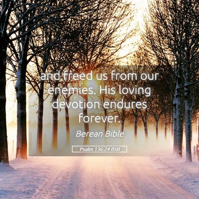 Picture 05 - Psalm 136:24 BSB - and freed us from our enemies. His loving - Bible Verse Picture