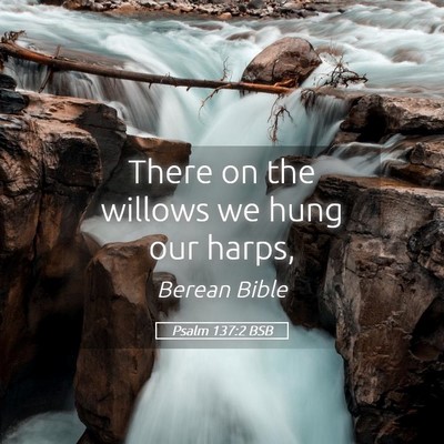 Picture 05 - Psalm 137:2 BSB - There on the willows we hung our - Bible Verse Picture
