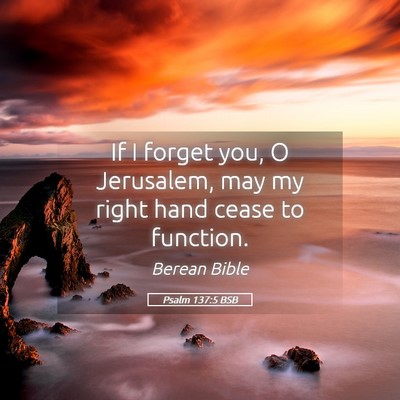 Picture 05 - Psalm 137:5 BSB - If I forget you, O Jerusalem, may my right hand - Bible Verse Picture