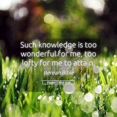 Picture 05 - Psalm 139:6 BSB - Such knowledge is too wonderful for me, too lofty - Bible Verse Picture