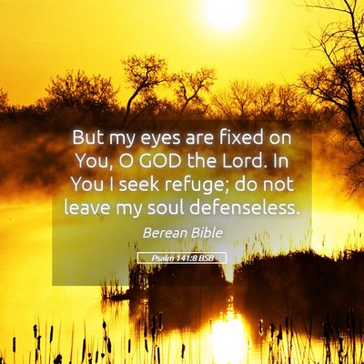 Picture 05 - Psalm 141:8 BSB - But my eyes are fixed on You, O GOD the Lord. In - Bible Verse Picture