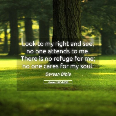 Picture 05 - Psalm 142:4 BSB - Look to my right and see; no one attends to me. - Bible Verse Picture