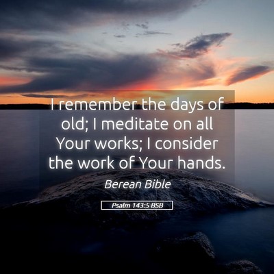 Picture 05 - Psalm 143:5 BSB - I remember the days of old; I meditate on all - Bible Verse Picture
