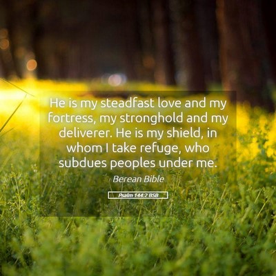 Picture 05 - Psalm 144:2 BSB - He is my steadfast love and my fortress, my - Bible Verse Picture