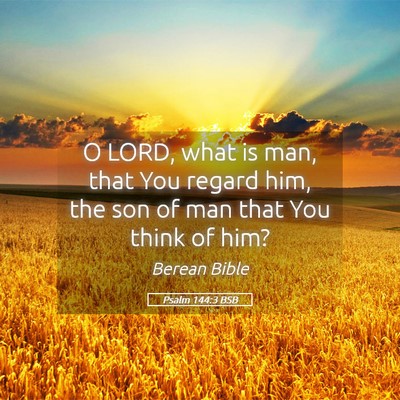 Picture 05 - Psalm 144:3 BSB - O LORD, what is man, that You regard him, the son - Bible Verse Picture
