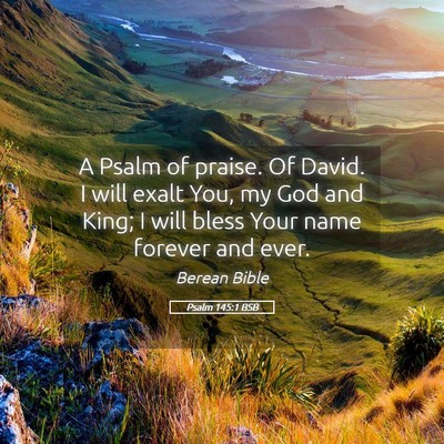 Picture 05 - Psalm 145:1 BSB - A Psalm of praise. Of David. I will exalt You, my - Bible Verse Picture